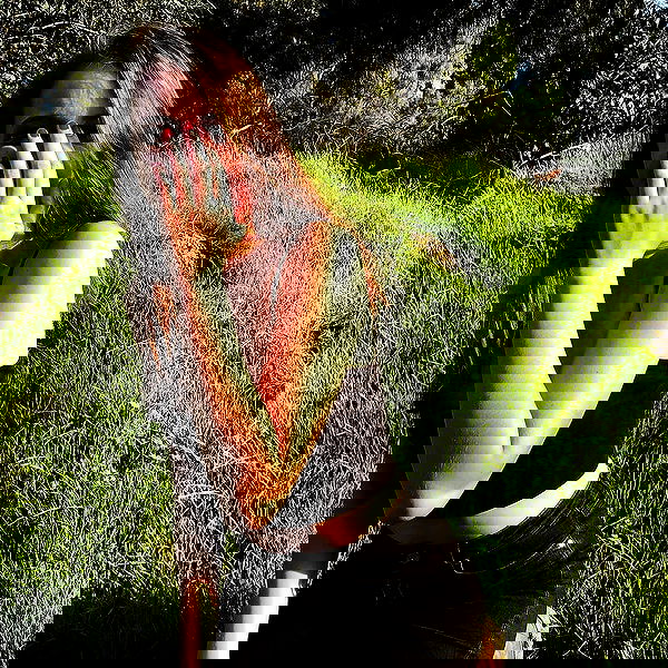 valeryy.t1 image ~ Altpins