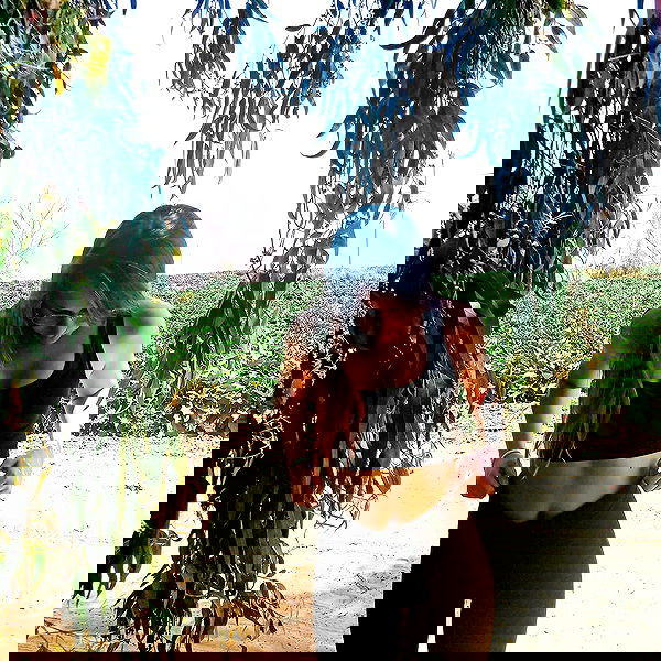 valeryy.t1 image ~ Altpins