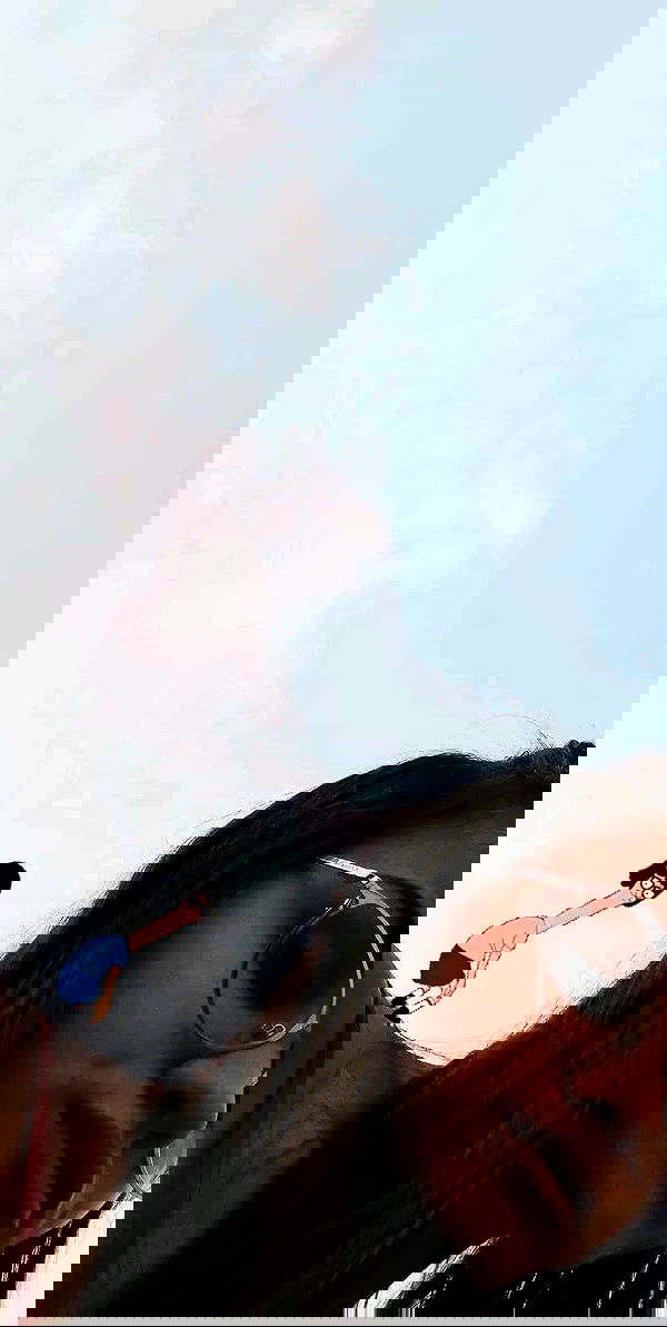 valeryy.t1 image ~ Altpins