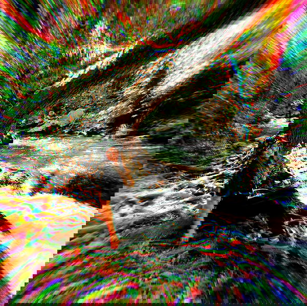 valeryy.t1 image ~ Altpins