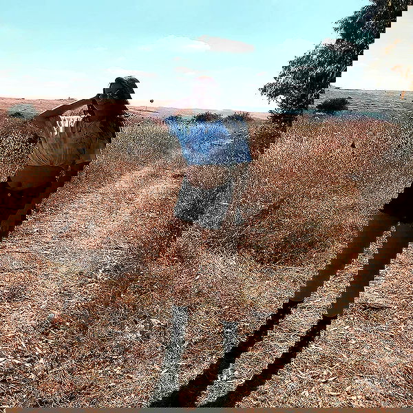 valeryy.t1 image ~ Altpins