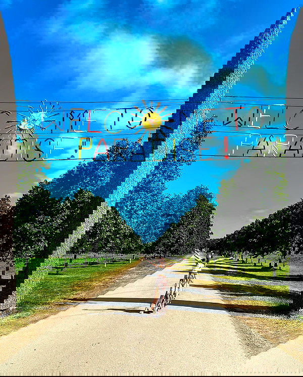 valeryy.t1 image ~ Altpins