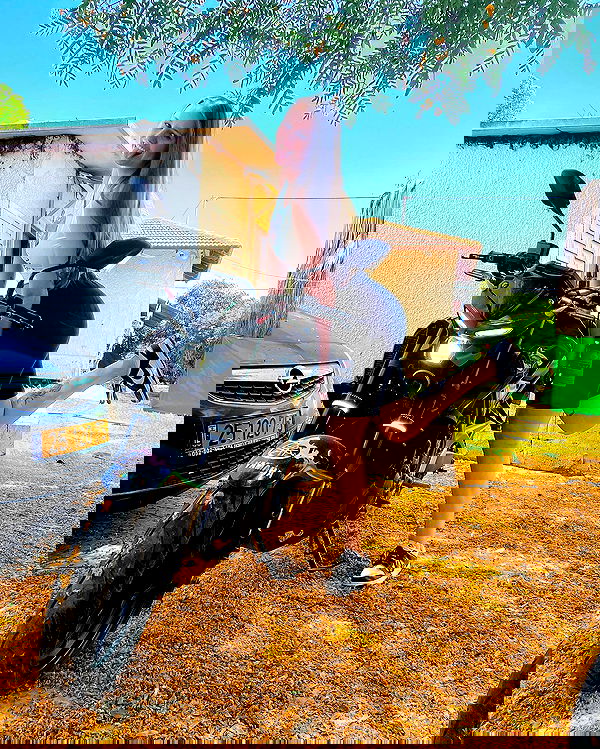 valeryy.t1 image ~ Altpins