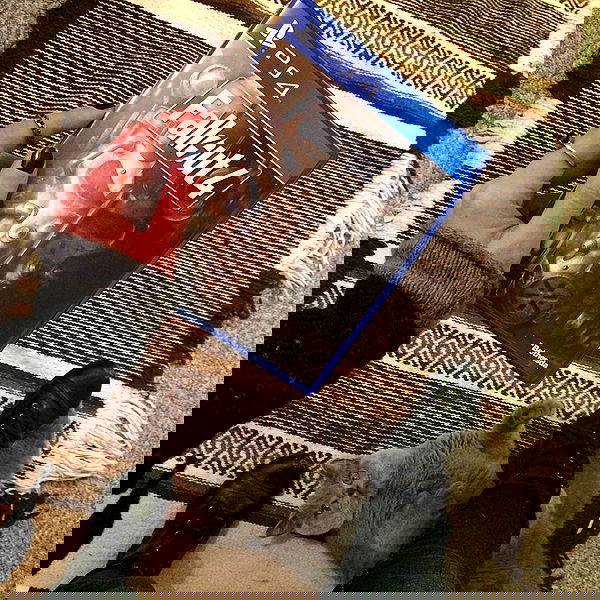 valkyrae valkyrae archive image