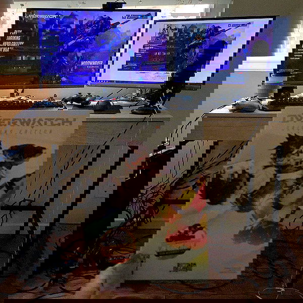 valkyrae valkyrae archive image