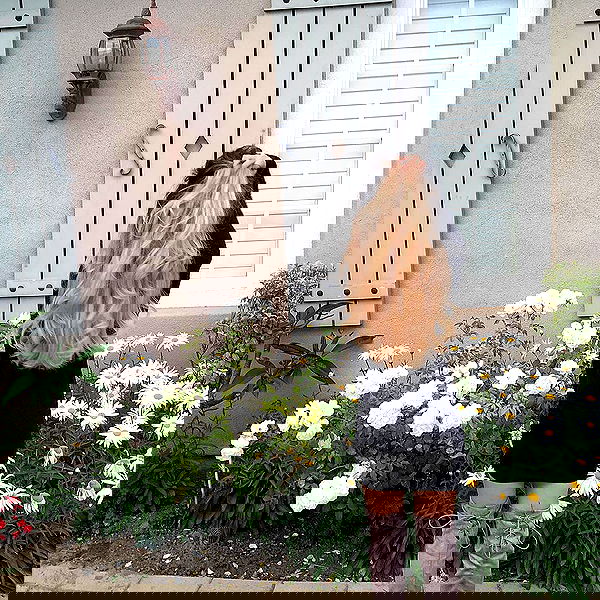 valkyrae valkyrae archive image