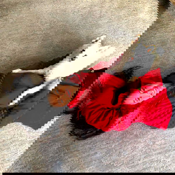 valkyrae valkyrae archive image