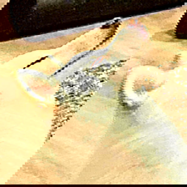 valkyrae valkyrae archive image