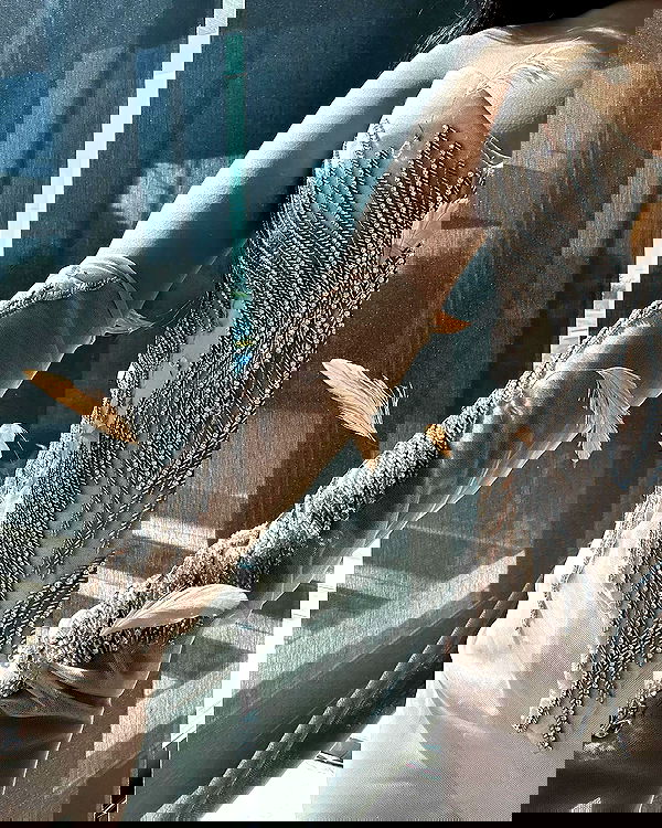 valkyrae valkyrae archive image