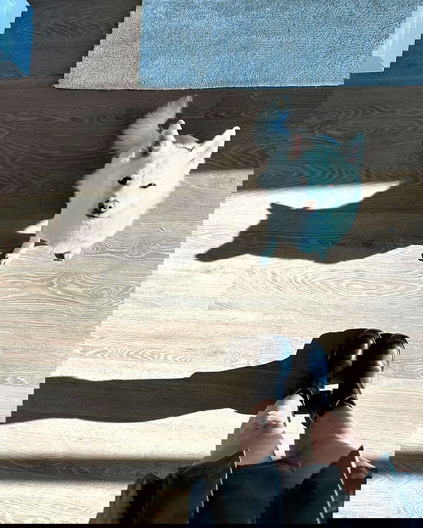 valkyrae valkyrae archive image