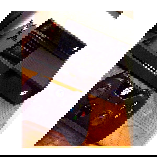 valkyrae valkyrae archive image