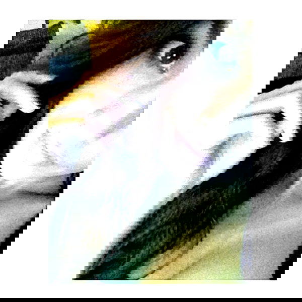 valkyrae valkyrae archive image