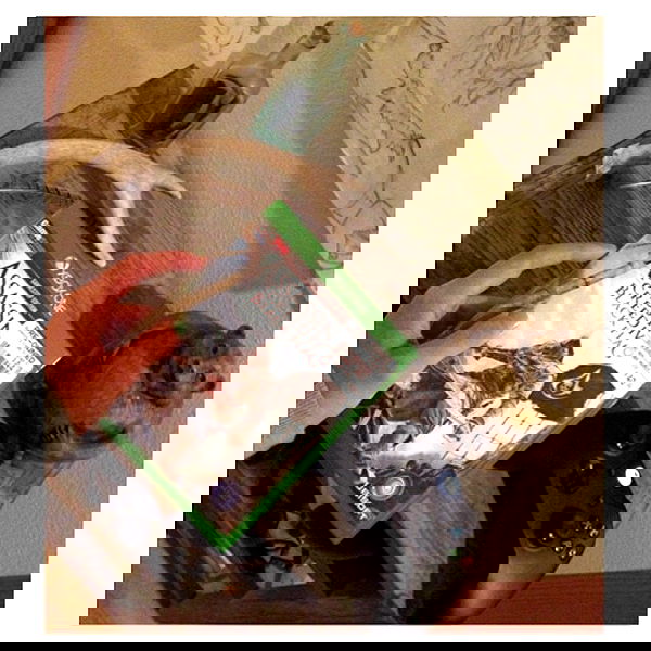 valkyrae valkyrae archive image