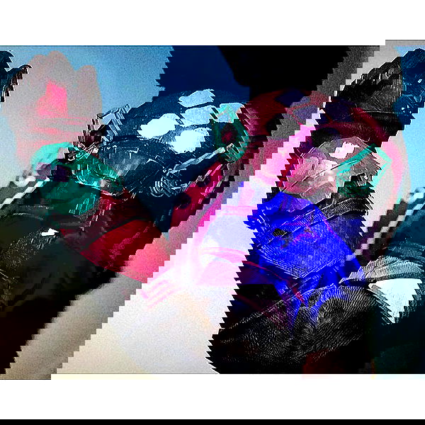 valkyrae valkyrae archive image