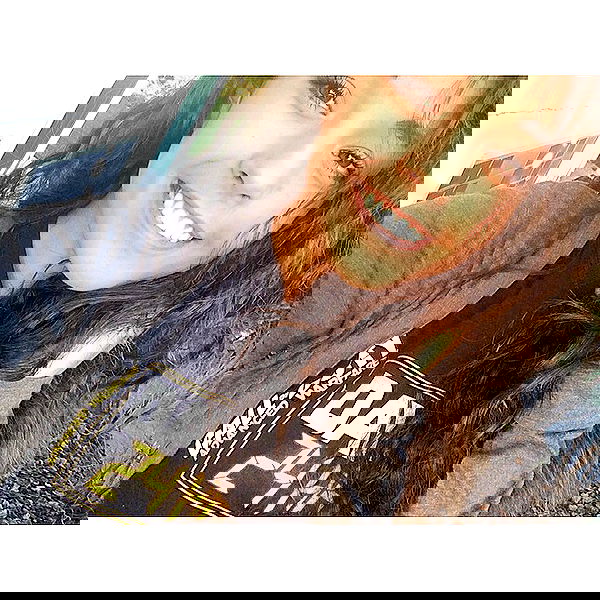 valkyrae valkyrae archive image