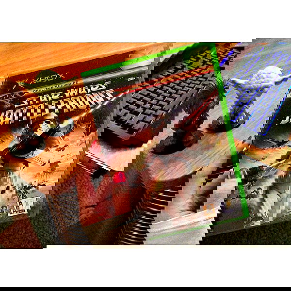 valkyrae valkyrae archive image