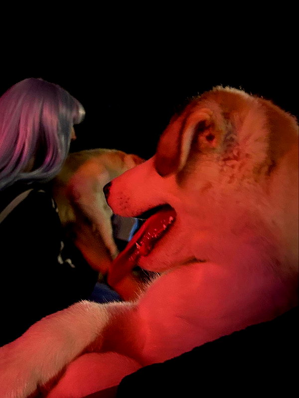 vampirec0wgirl instagram image archive image