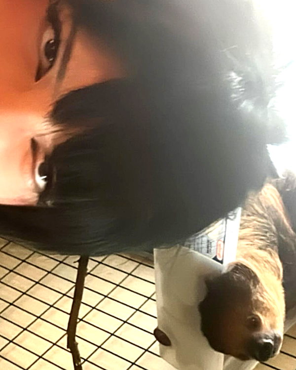 vampirec0wgirl instagram image archive image