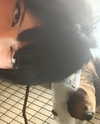 vampirec0wgirl Altpins Profile Picture