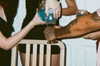 vampirec0wgirl Altpins Profile Picture