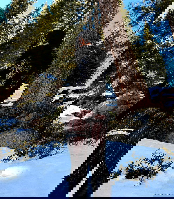 vamppyrbaby vamppyrbaby archive image