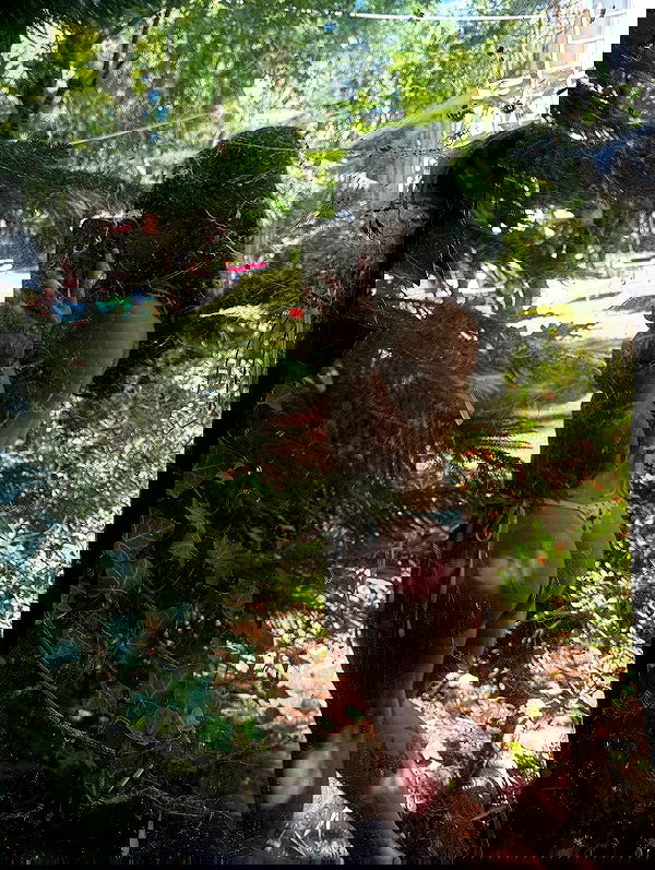 vamppyrbaby vamppyrbaby archive image