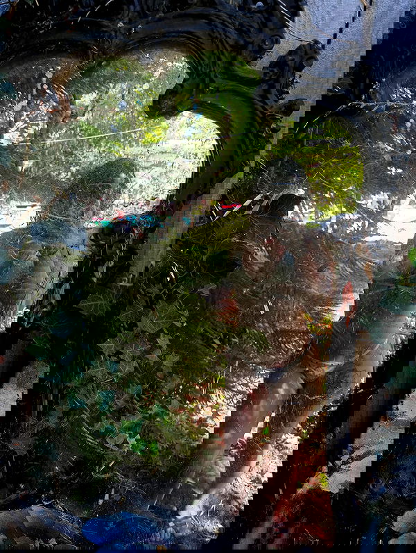 vamppyrbaby vamppyrbaby archive image