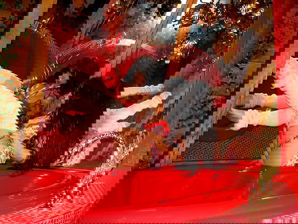 vanessa.julienne image ~ Altpins