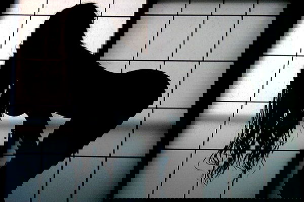 vanessa.julienne image ~ Altpins