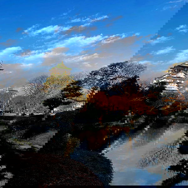 vanessa.julienne image ~ Altpins