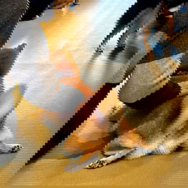 vanessa.julienne image ~ Altpins