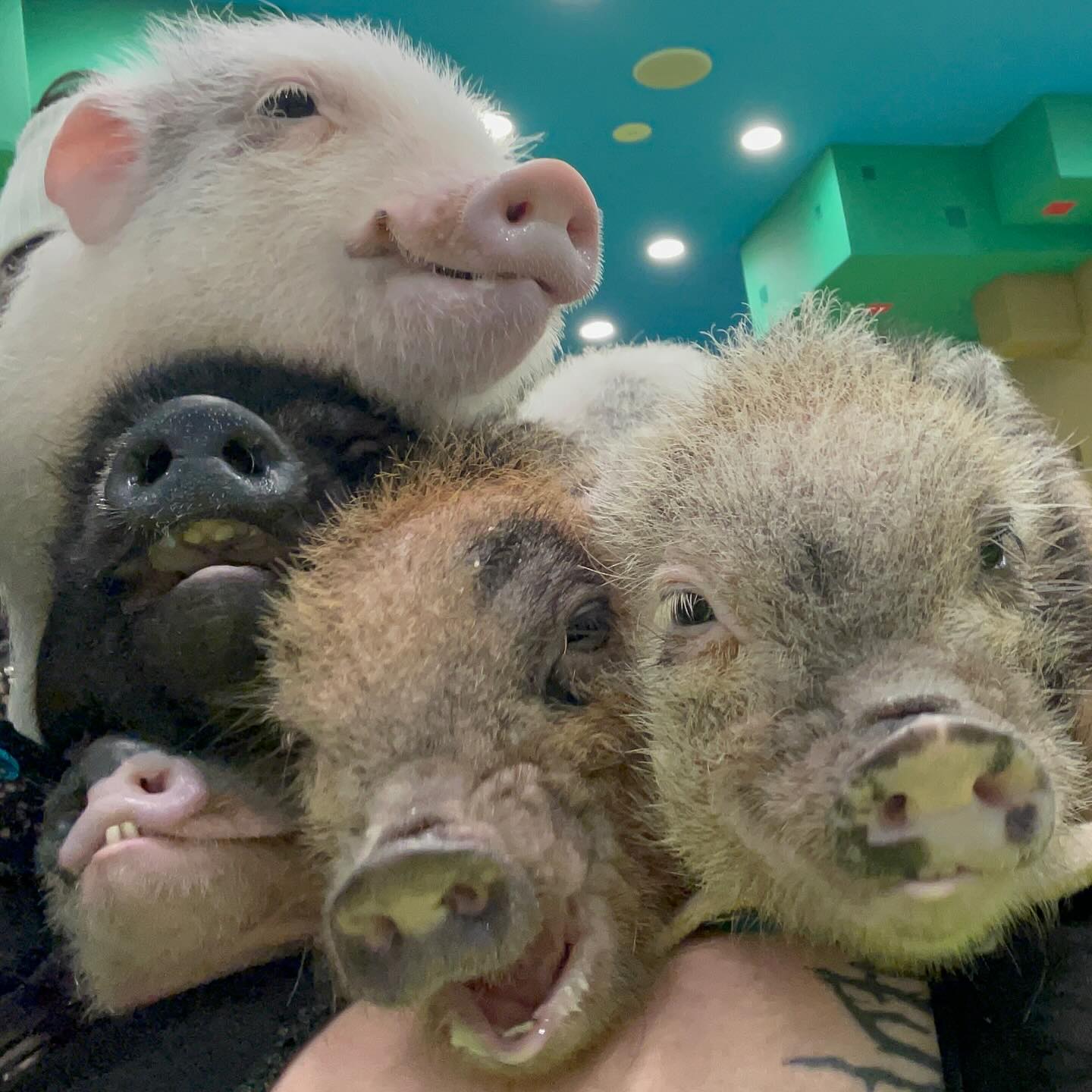 vanessa.julienne instagram image archive image