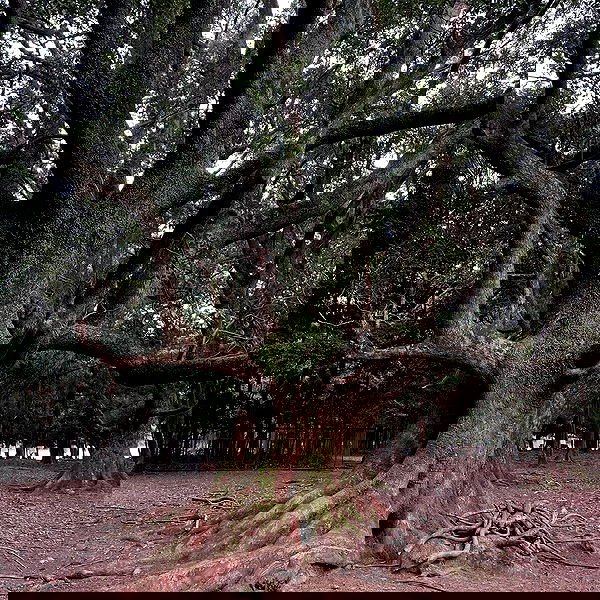 vanessa.julienne image ~ Altpins