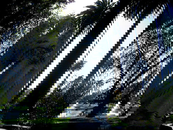 vanessa.julienne image ~ Altpins