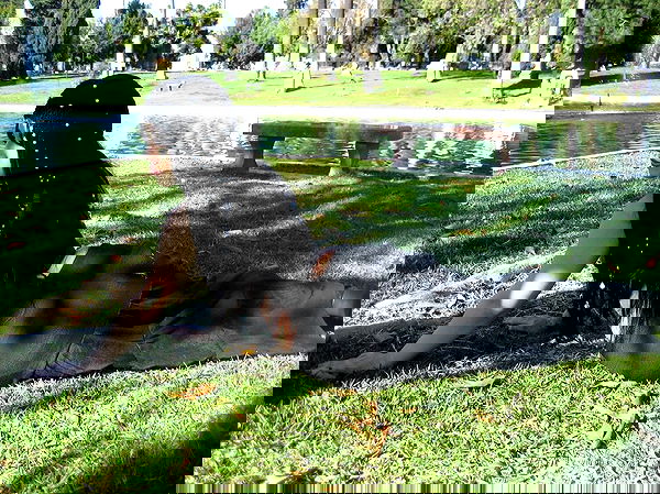 vanessa.julienne image ~ Altpins