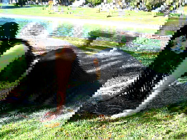 vanessa.julienne image ~ Altpins