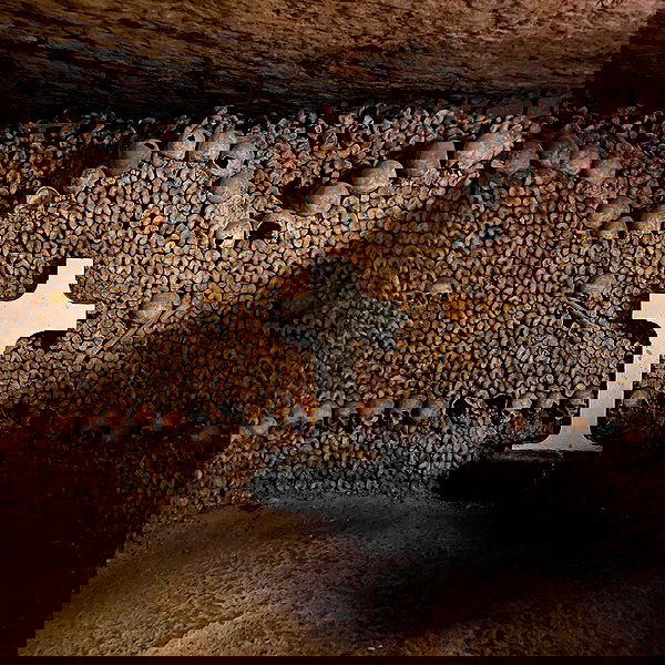 vanessa.julienne image ~ Altpins