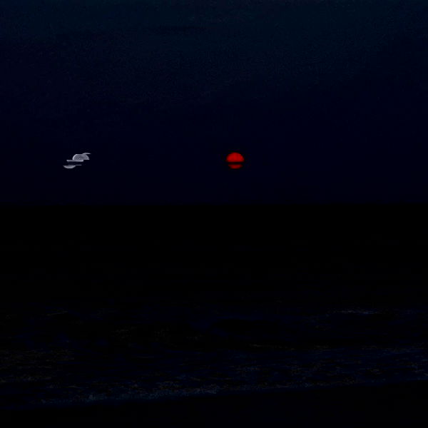 vanessa.julienne image ~ Altpins