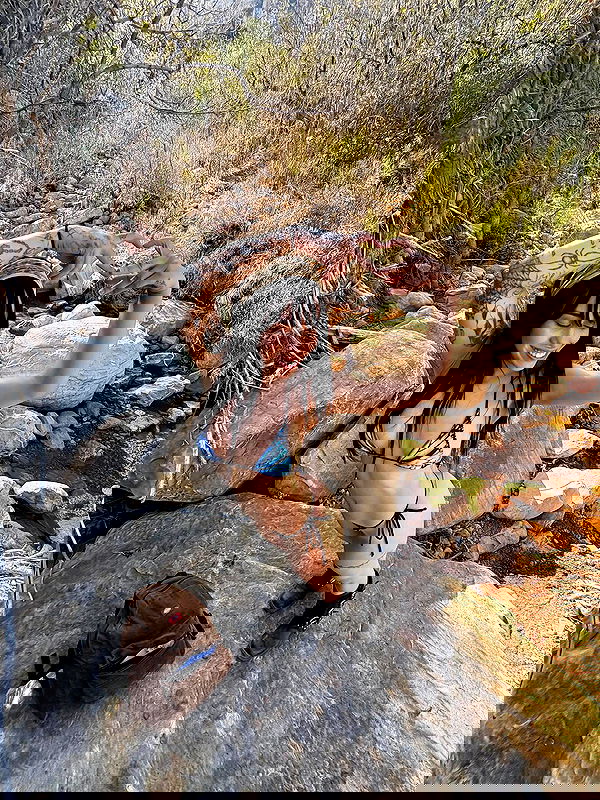 vanessa.julienne image ~ Altpins