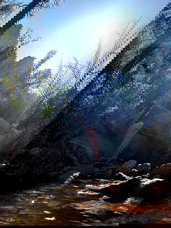 vanessa.julienne image ~ Altpins