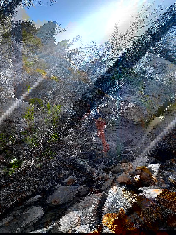 vanessa.julienne image ~ Altpins