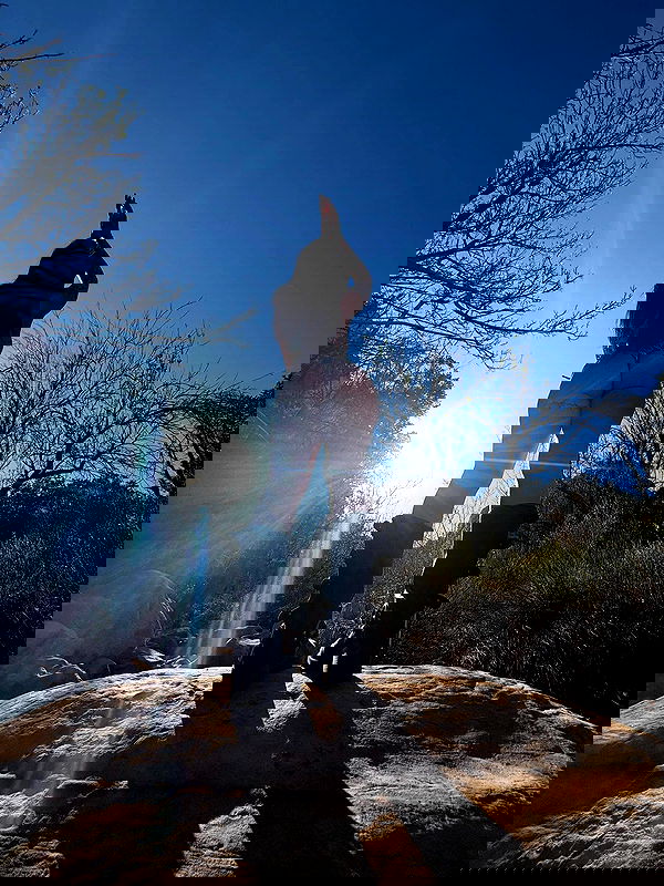 vanessa.julienne image ~ Altpins