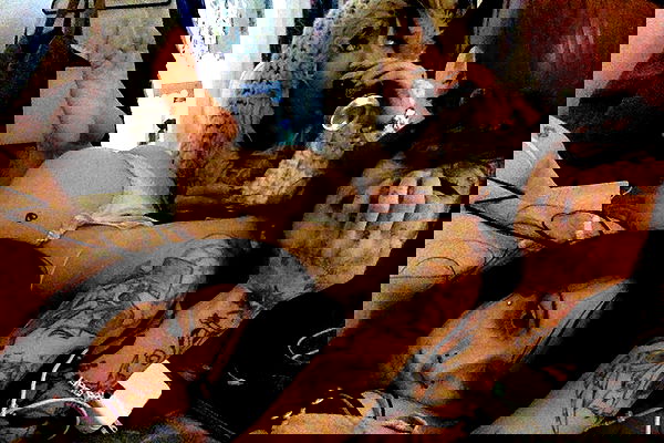 vanessa.julienne image ~ Altpins