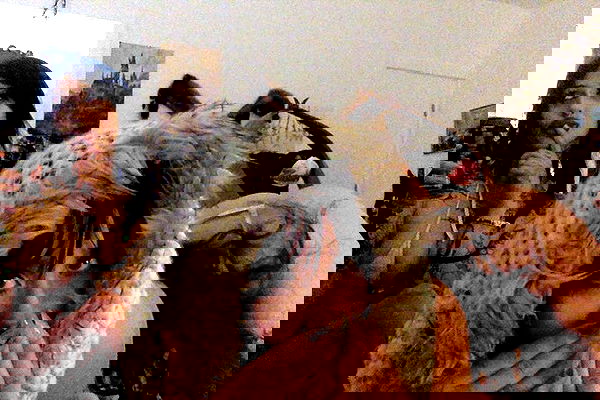 vanessa.julienne image ~ Altpins