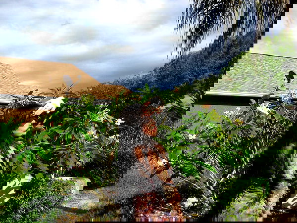 vanessa.julienne image ~ Altpins