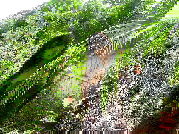 vanessa.julienne image ~ Altpins