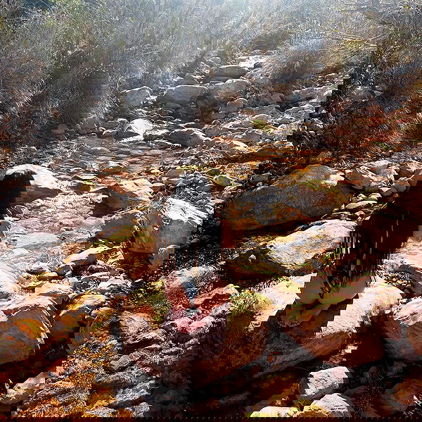 vanessa.julienne image ~ Altpins