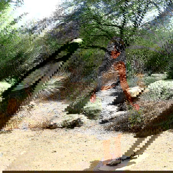 vanessa.julienne image ~ Altpins