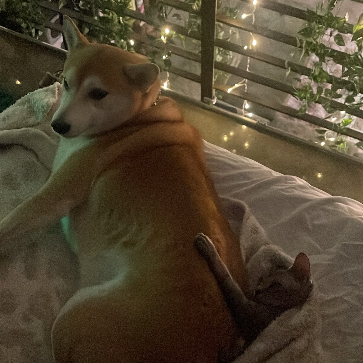 vanessa.julienne instagram image archive image