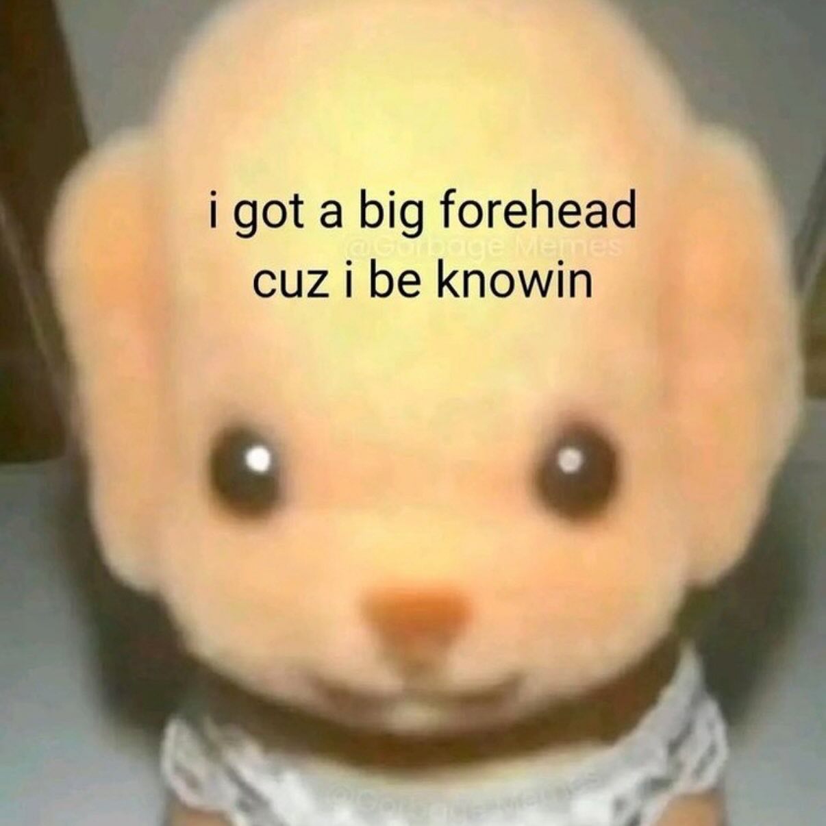 vanessa.julienne instagram image archive image